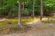 campspot-production
